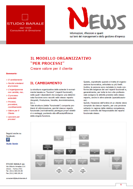 Consulenza organizzazione, Organizzazione per processi, consulenza organizzativa