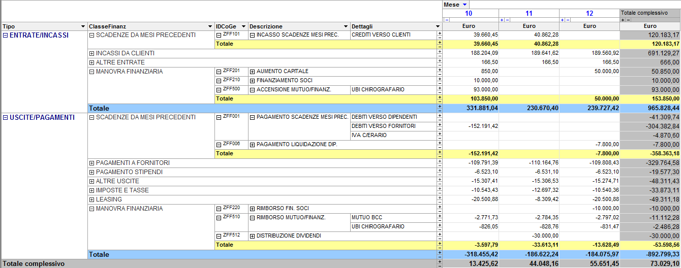 software budget finanziario