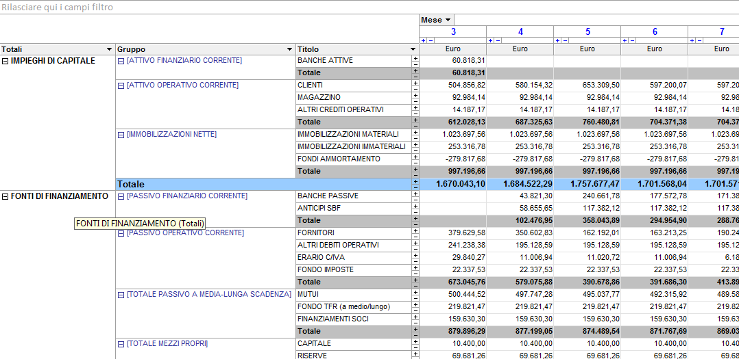 Situazione patrimoniale previsionale, software budget patrimoniale