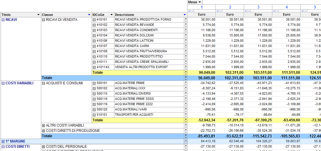 software budget aziendale