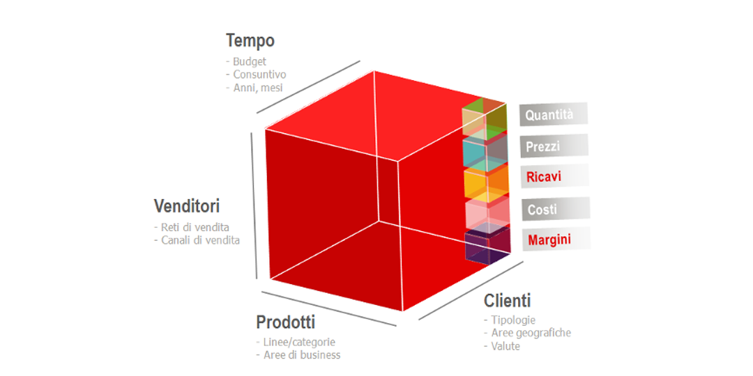 software per il budget analitico delle vendite e dei margini